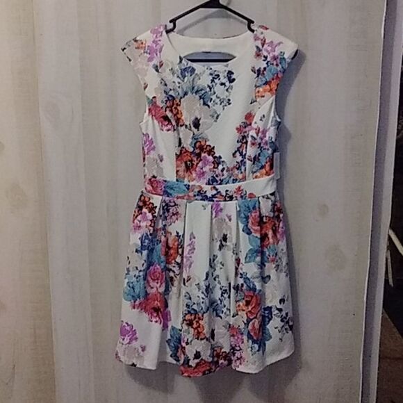 Windsor Floral Dress Medium - Picture 1 of 10